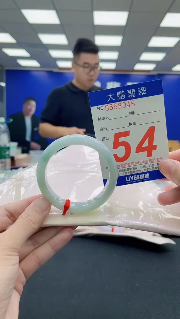 未镶嵌手镯翡翠AAAAAAAAA