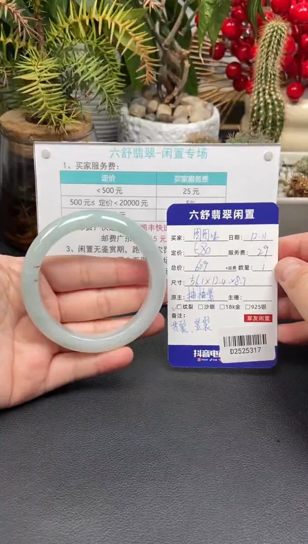 未镶嵌手镯翡翠图*呢D2525317