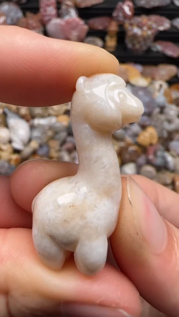 【闪购商品】硅化珊瑚（珊瑚玉）颈饰未镶嵌278