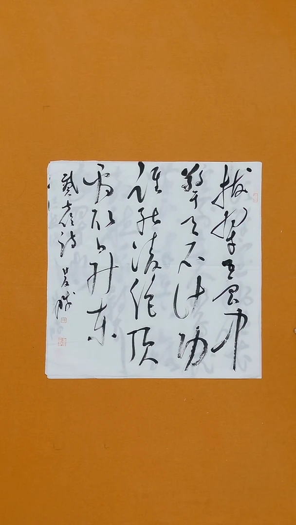 书法崔双胜68*68 甘肃 第三届草书展