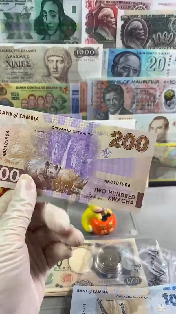 纸币赞比亚200 纸币