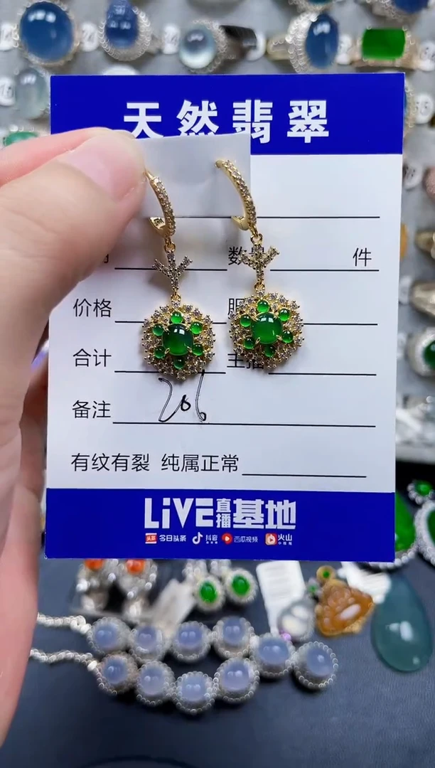 银S925镶嵌翡翠耳饰206
