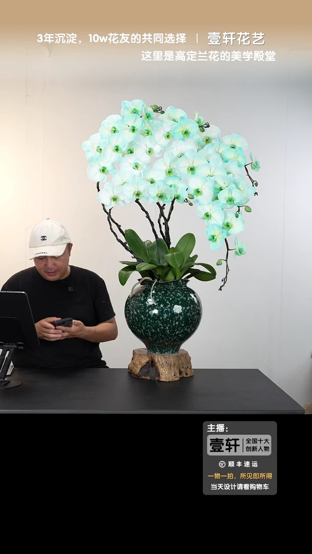 全部花朵007号链接【一物一拍】艺术盆景