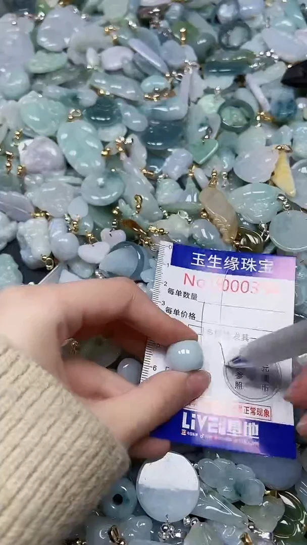 【闪购商品】翡翠颈饰未镶嵌闪购00000354