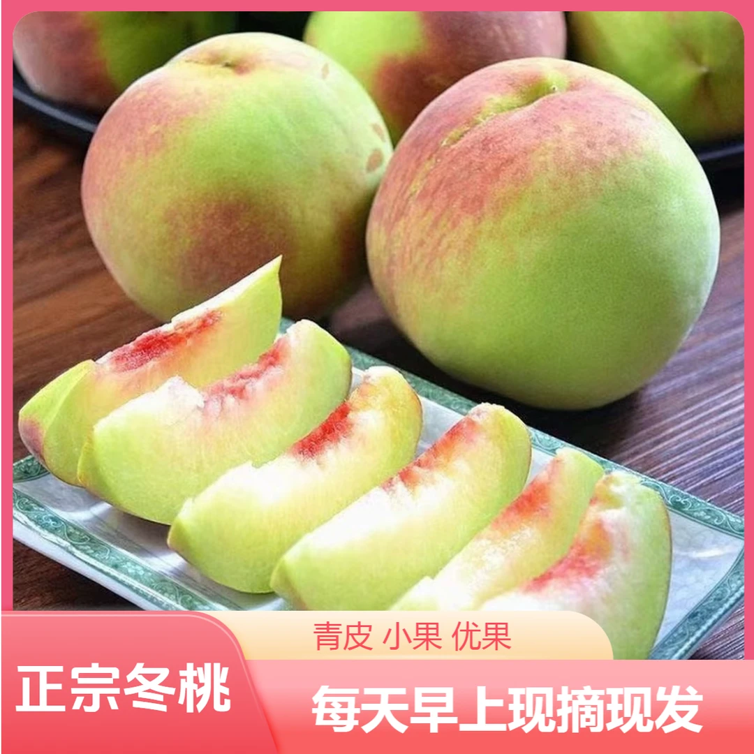 【正宗冬桃】现摘现发青州青皮蜜桃水果产地直发当季新鲜小桃小果