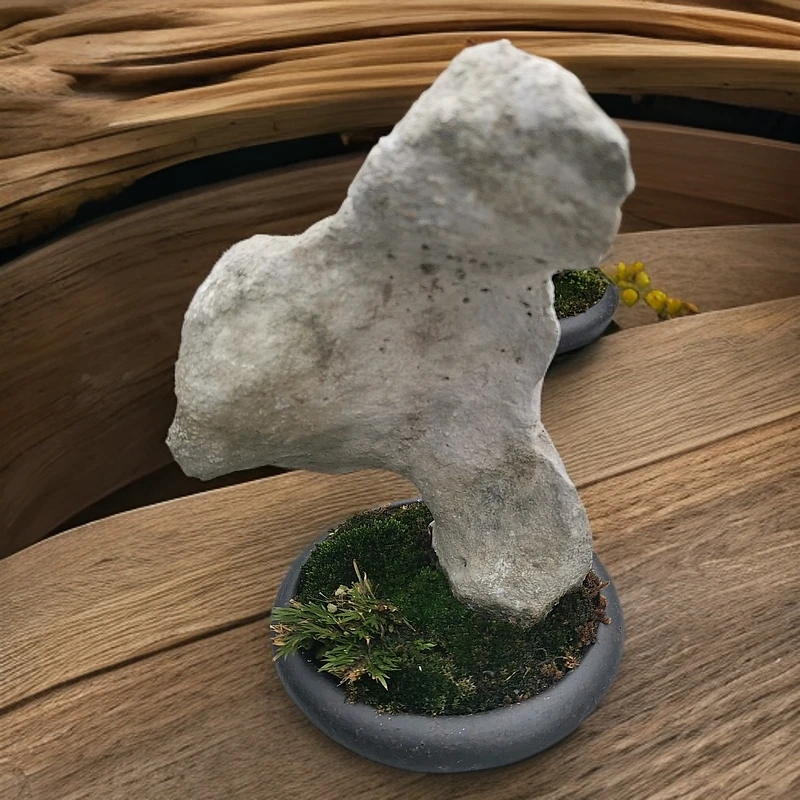 茶桌.书桌.办公室摆件小盆景