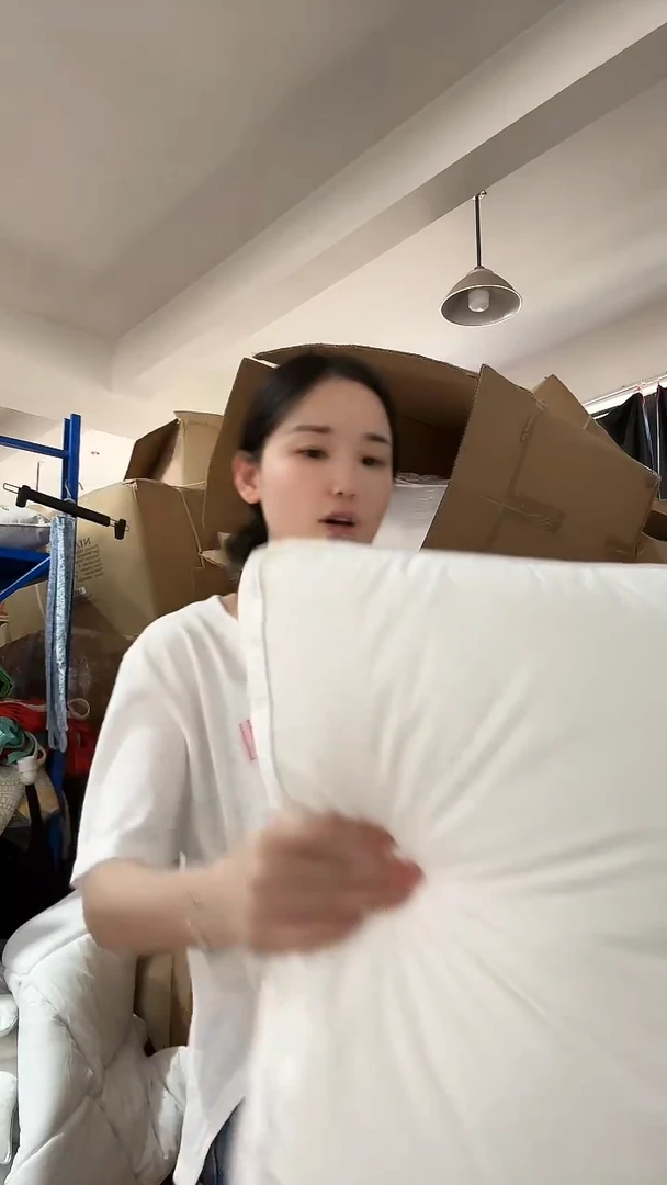 棉棉D28     枕头一个