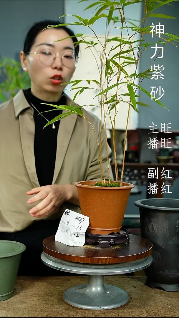 紫砂花盆4587+S紫砂花盆紫砂