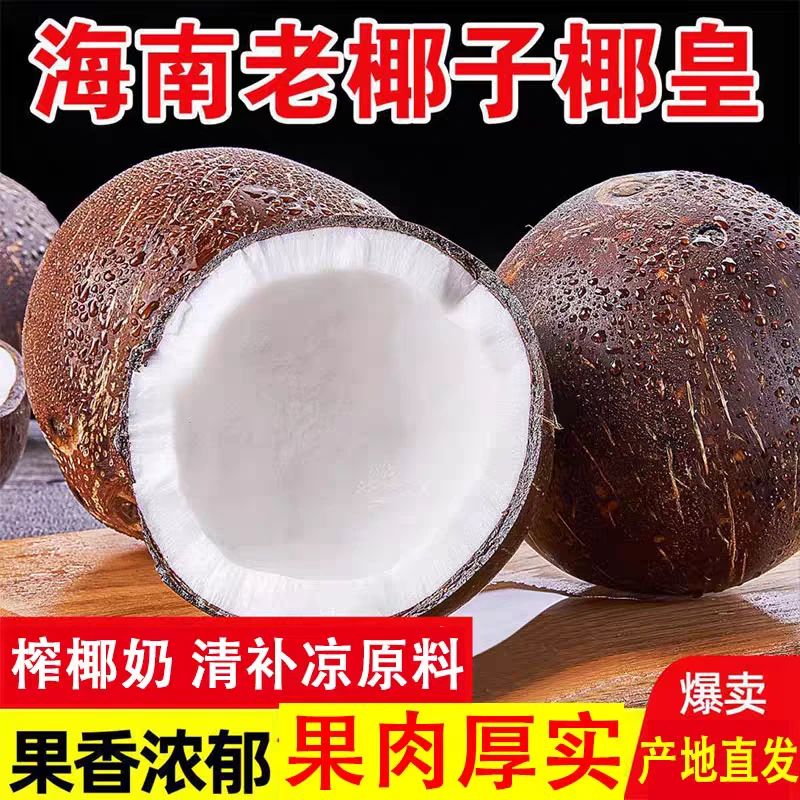 海南牛奶黑椰皇香新鲜采摘发货老椰子椰香清甜甘甜肉厚产地直供