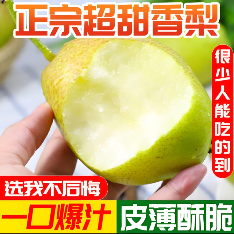 【特价处理】正宗新疆库尔勒香梨新鲜水果薄皮梨子整箱批发