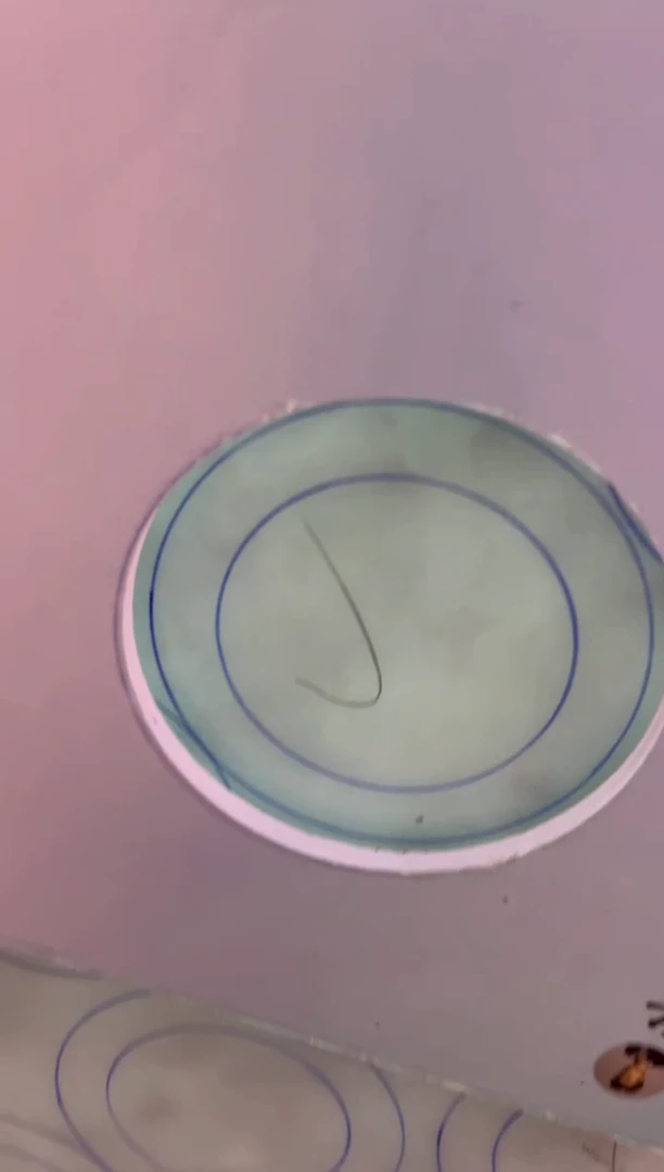 未镶嵌手镯定制翡翠定制手镯AJC1/DZS