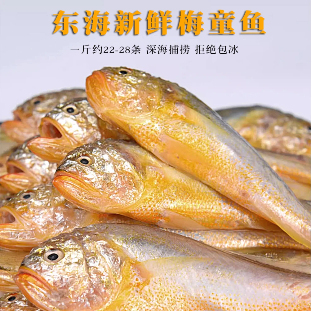 新鲜东海梅童鱼鲜冻子梅鱼细眼大头梅鱼新鲜深海捕捞速冻3包