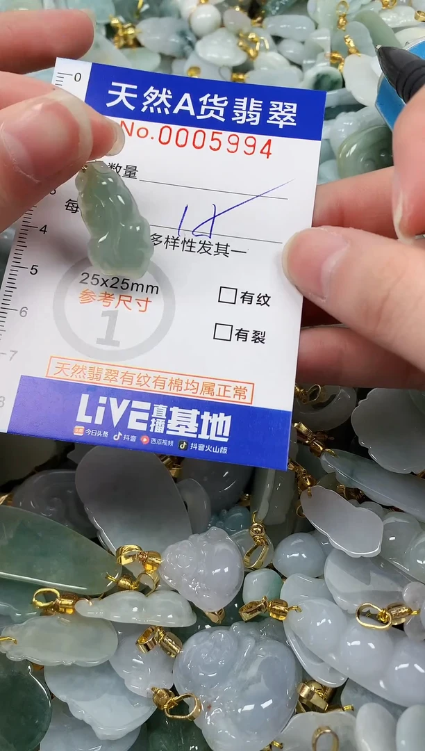 颈饰未镶嵌翡翠纯天然a货翡翠