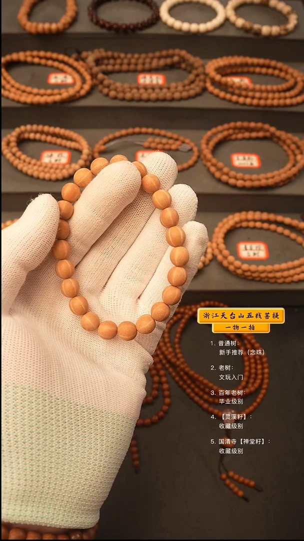 吊坠五线菩提恭**蔚手串