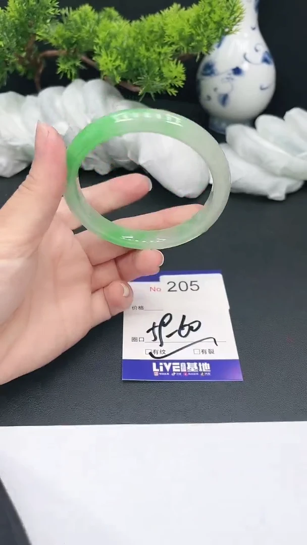 未镶嵌手镯翡翠205