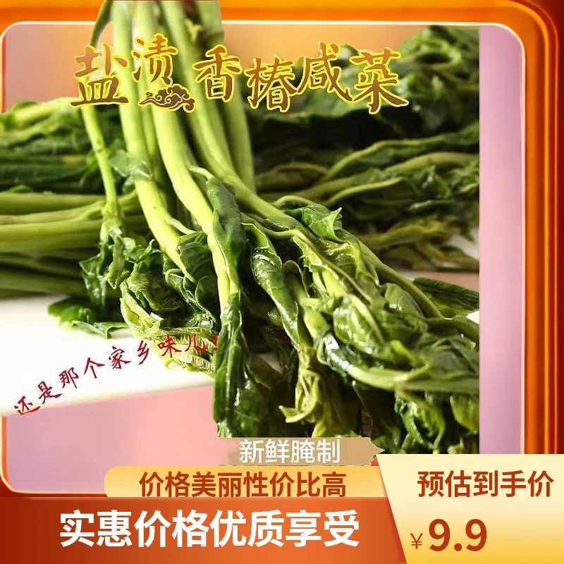 山东特产香椿芽咸菜头茬嫩芽鲜香爽口下饭开袋即食