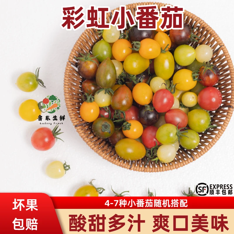 彩虹小番茄寿光小柿子水果小西红柿自然熟圣女果顺丰4-7种随机发