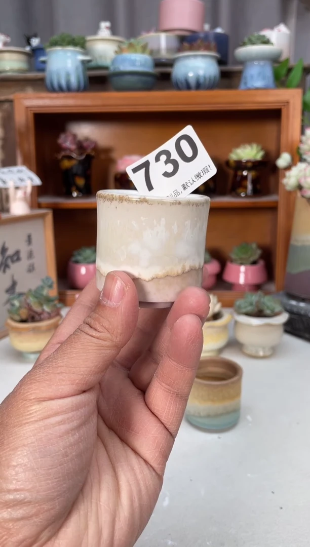 瓷片730小芳直播编号