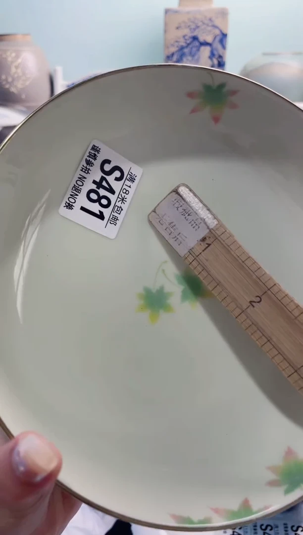 陶瓷暗***儿S481***********