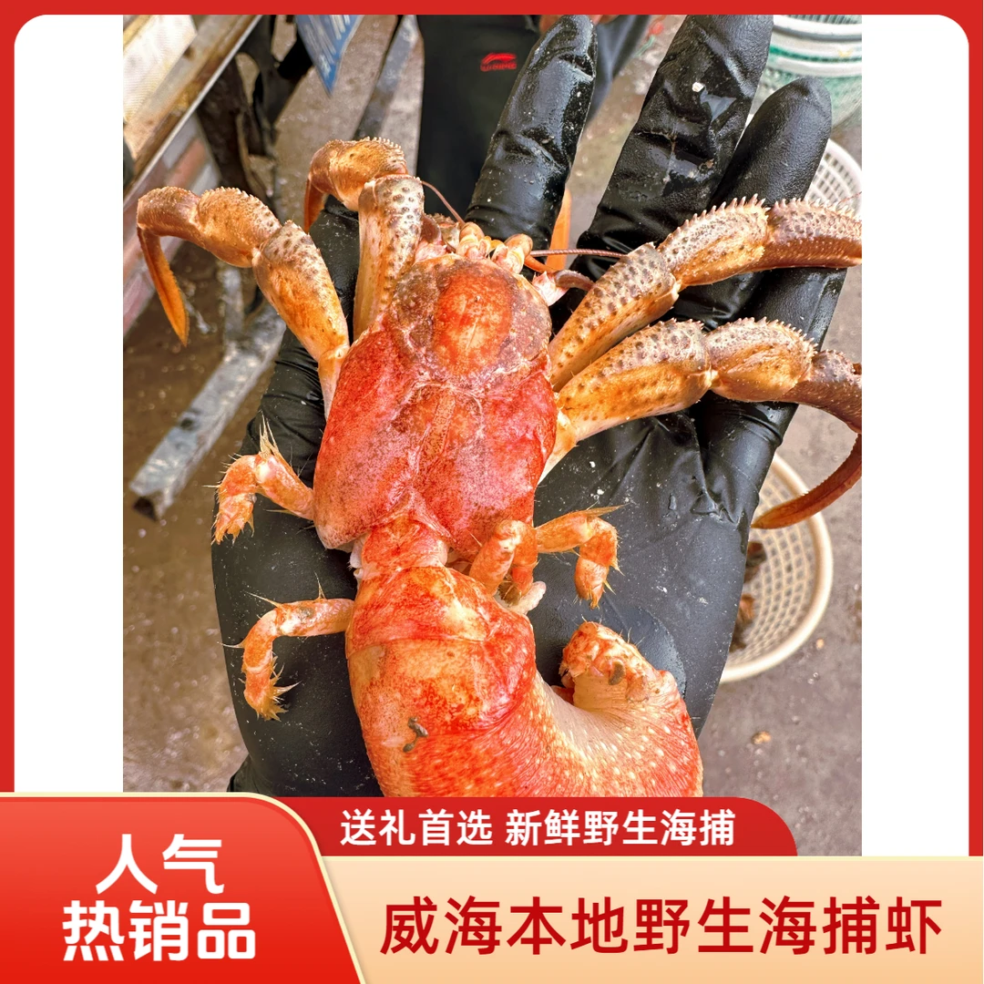 【威海野生虾怪】带壳新鲜虾怪顺丰特快大号10-15只3斤装保鲜不保活