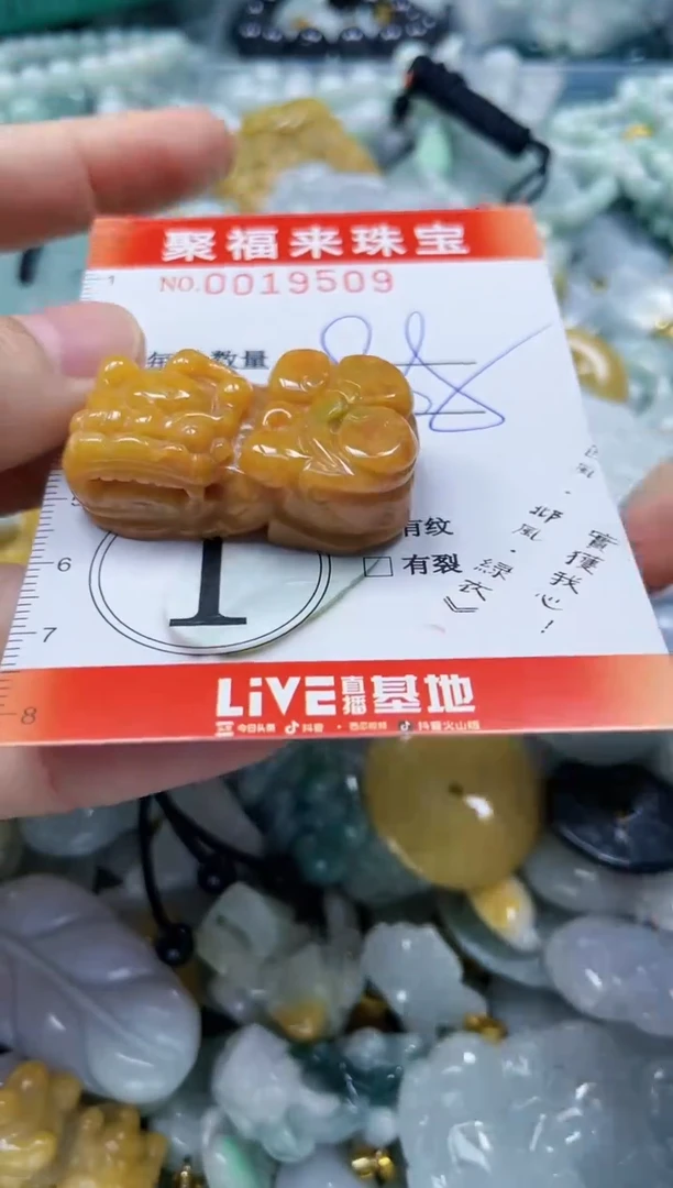 【闪购商品】翡翠颈饰未镶嵌闪购0019509