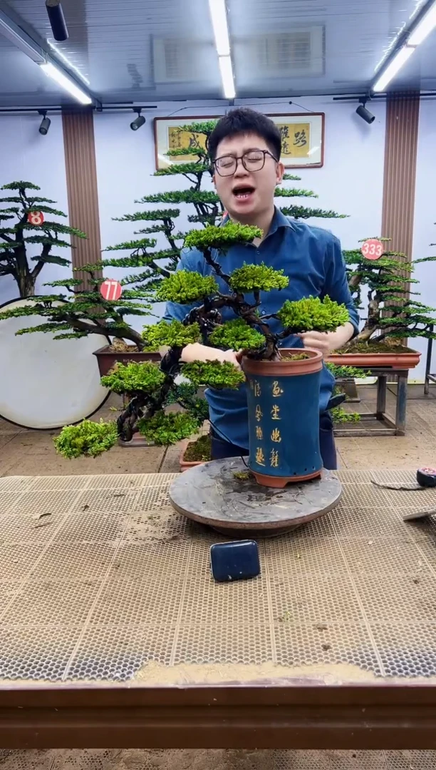 一物一拍，所见即所得