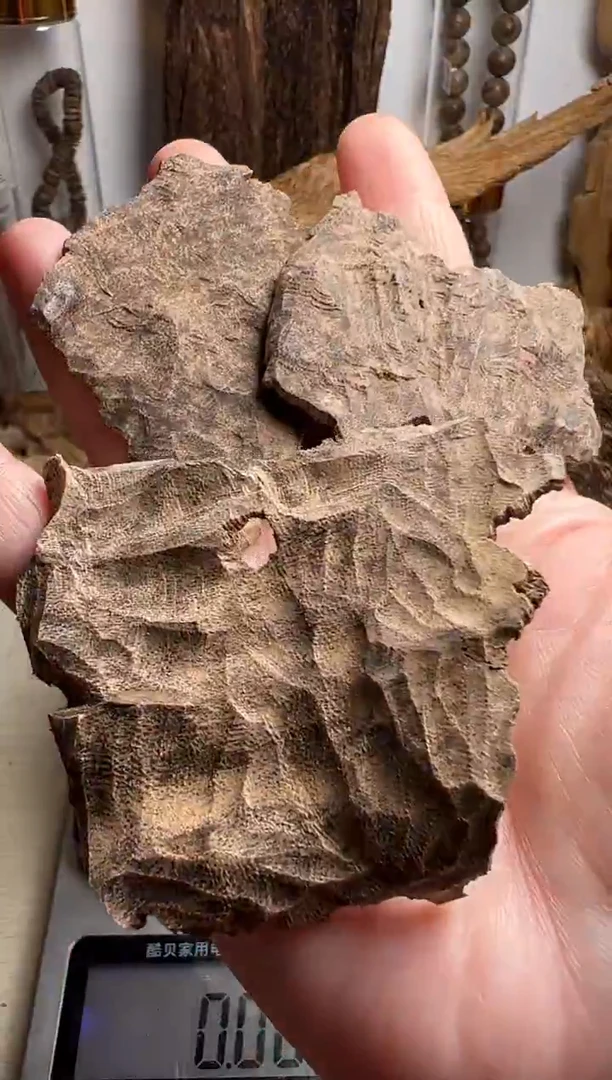 沉香沉香碎屑芽庄沉香板头12克