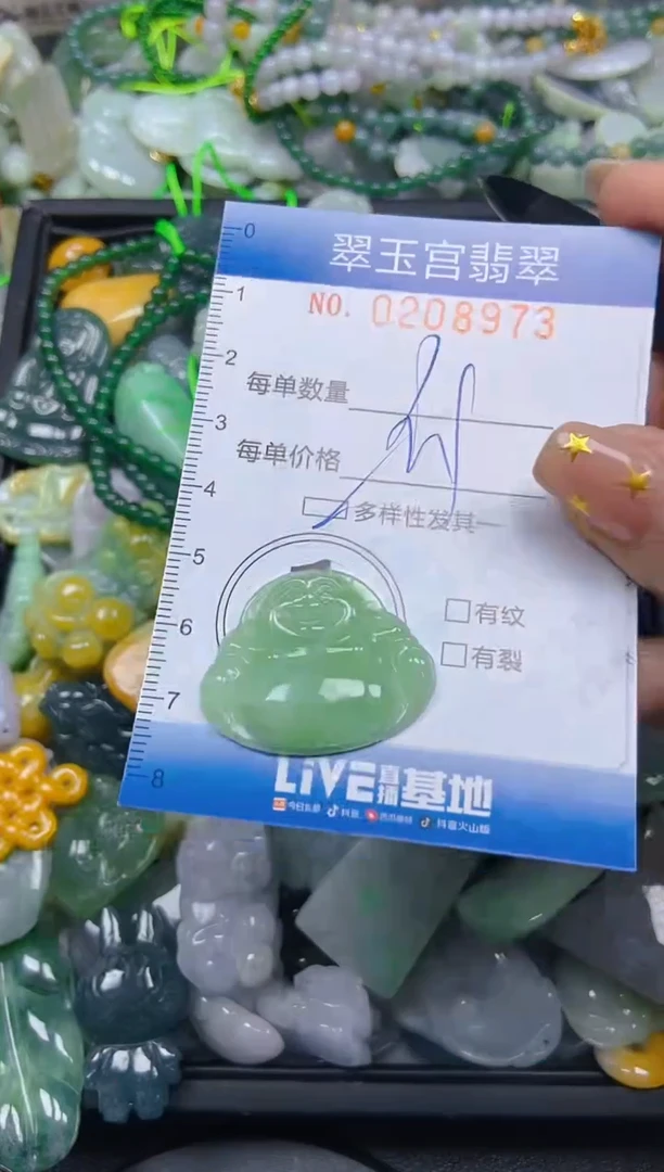 颈饰未镶嵌翡翠闪购C0208973多样性发其一