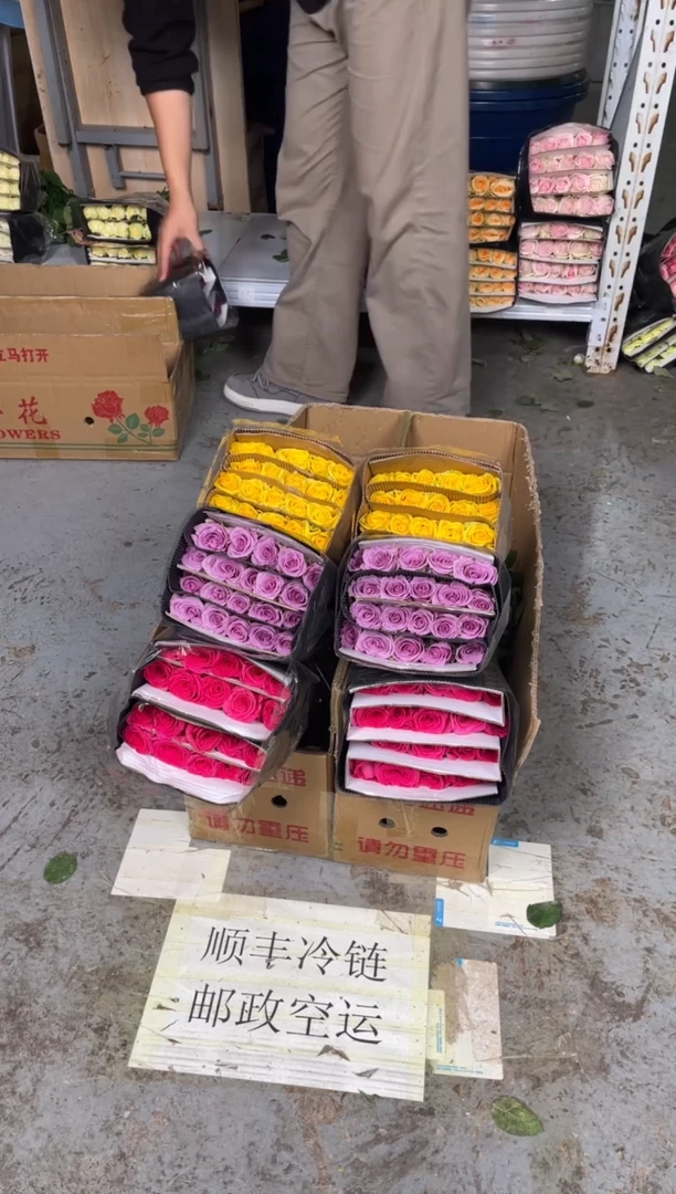 佛洛依德20枝+紫霞20枝+月光漫步20枝