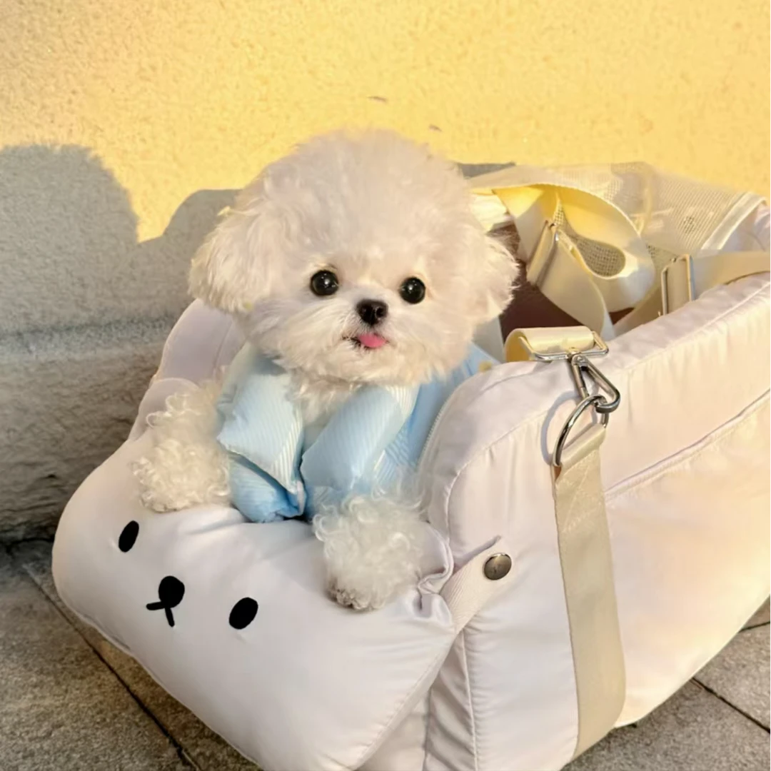 【萌屿】马尔济斯纯种幼犬网红狗狗包售后