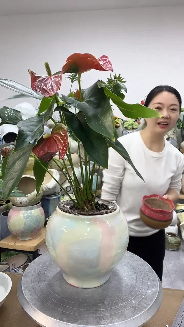 9.6陶瓷花盆直播链接高.   15   口12