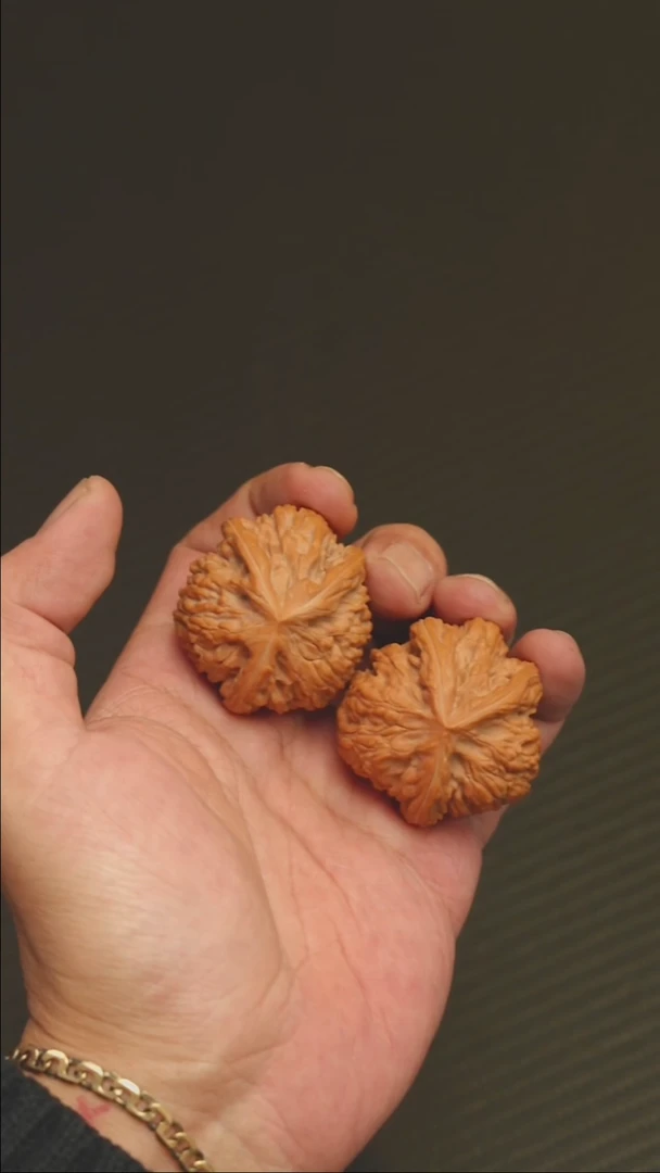 福利福利福利御龙粗筋三棱38