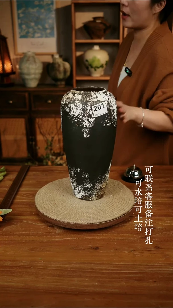 摆件201黑色侘寂风风可水培可土培