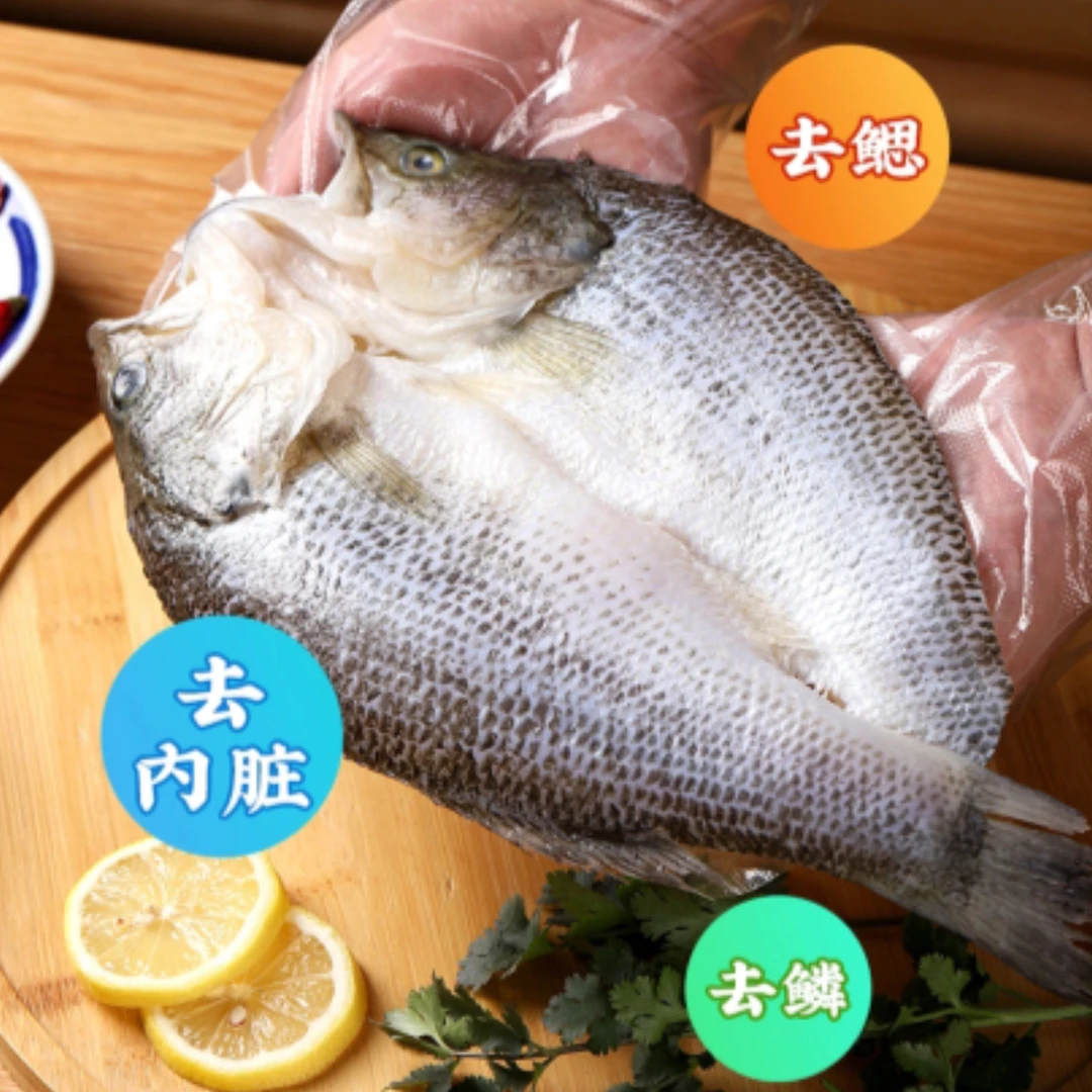开背海鲈鱼 三去免处理 新鲜速冻6-7两/条  到手6条