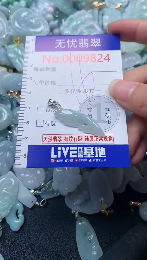 颈饰未镶嵌翡翠9824