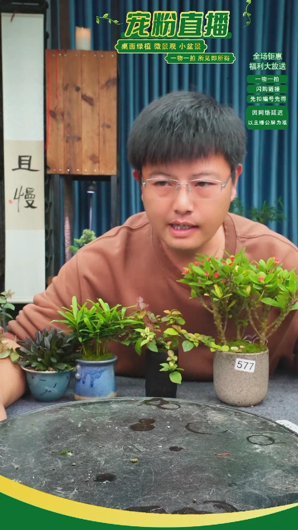 无花朵ᨳ****?苔藓微景观577号