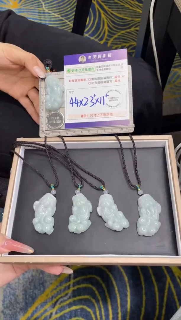 未镶嵌挂件翡翠貔貅FL6/多样性发其一CP配绳