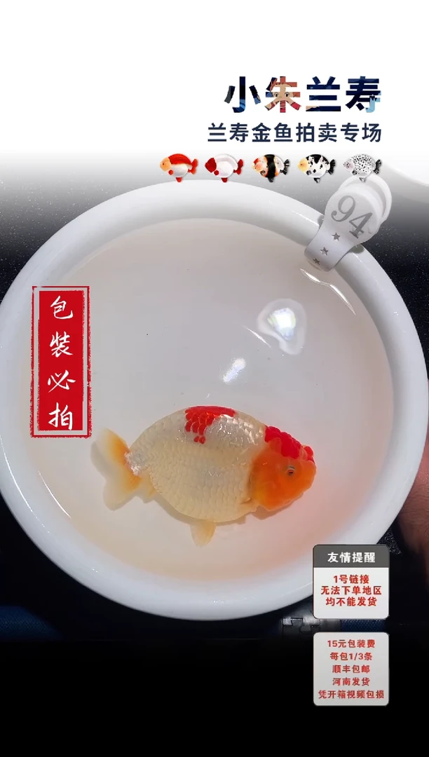 金鱼 包装必拍未拍顺丰到付94号