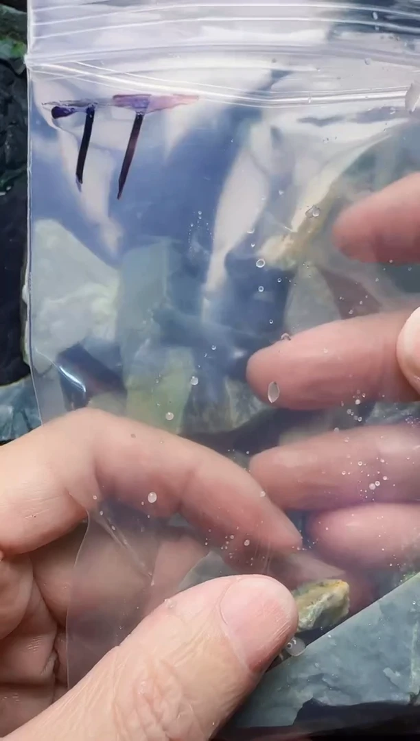 颈饰未镶嵌翡翠青*房77