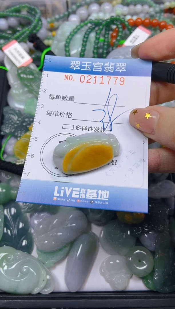 颈饰未镶嵌翡翠闪购C0211779