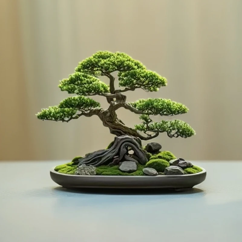 红芽米叶高端盆景罗汉松