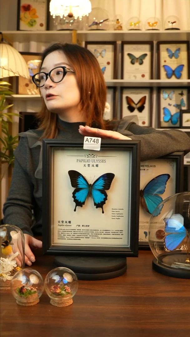 天堂凤蝶-中文（10寸欧式黑框）A748