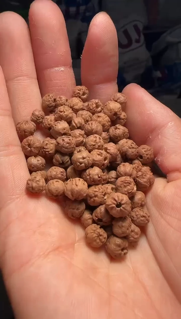 手串金刚菩提非全品原桩佛手散籽7-8mm一份一百颗