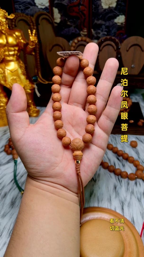 手串凤眼菩提新籽11.5