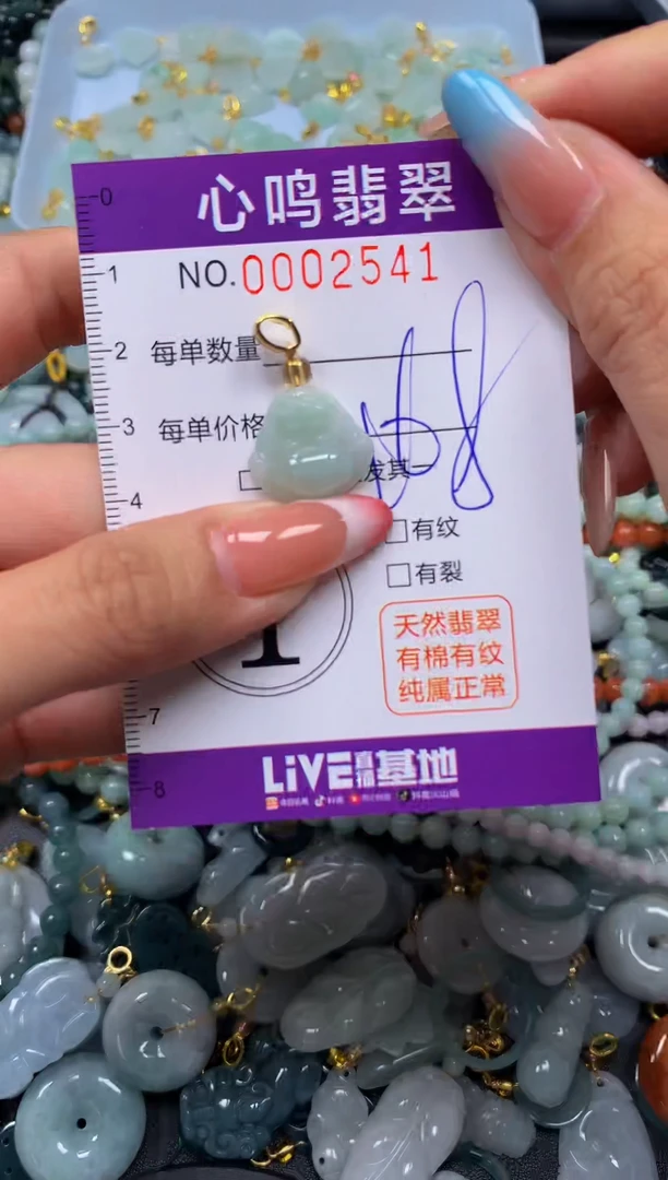 翡翠未镶嵌颈饰闪购002541