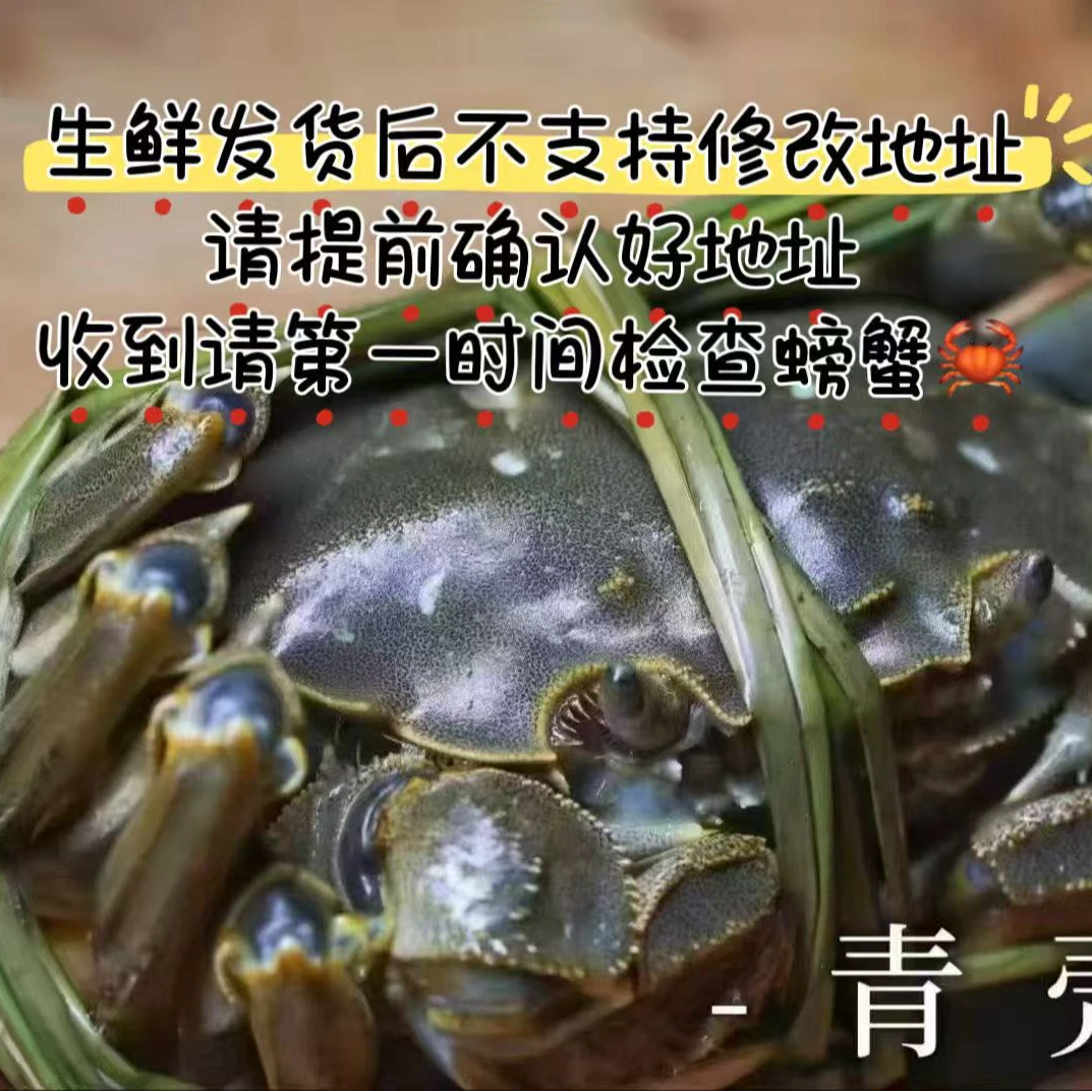 【果叔源选】鲜活河蟹母蟹4只/8只（只1.7-2两）山东北京包邮