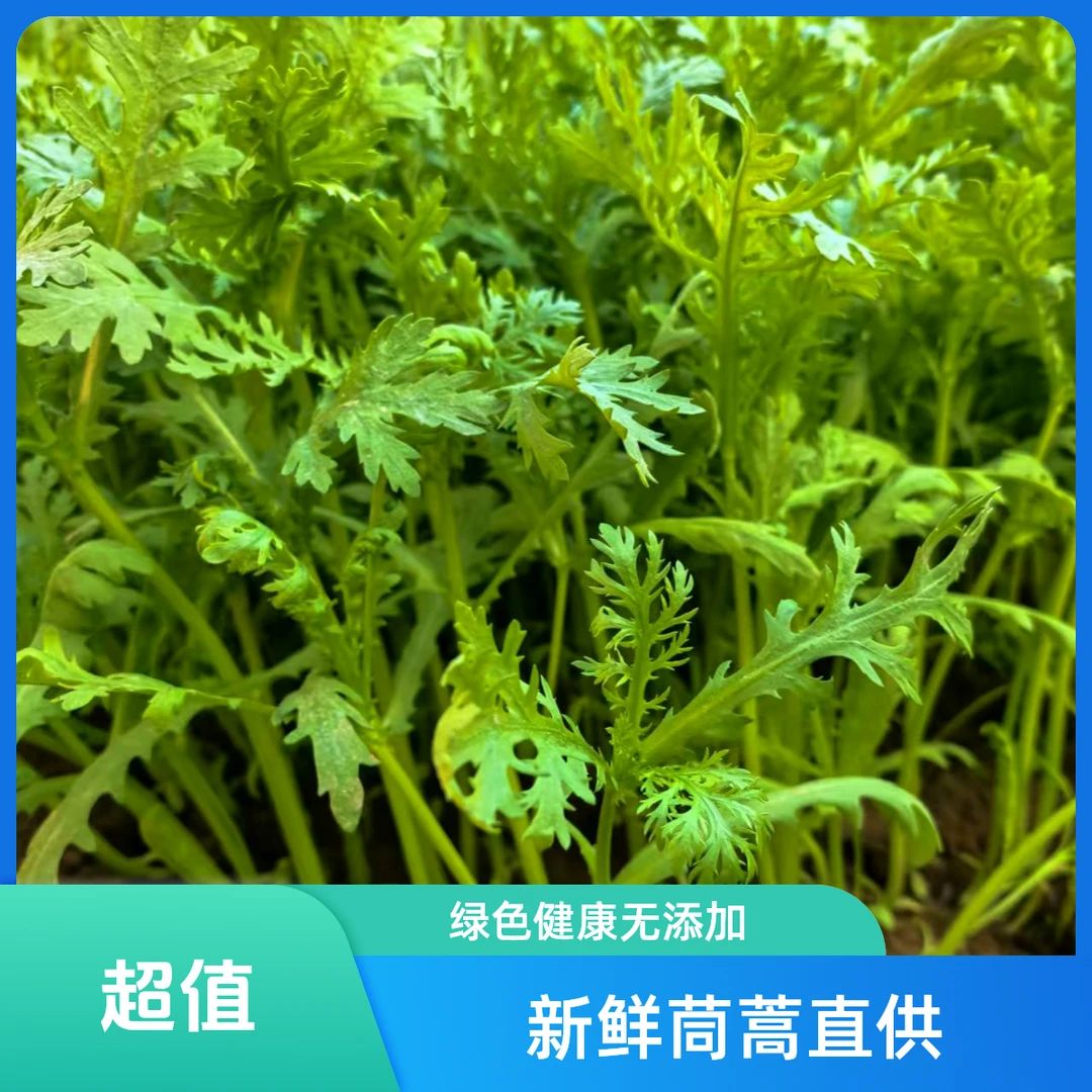 农家现拔牛粪蒿子秆2斤包邮