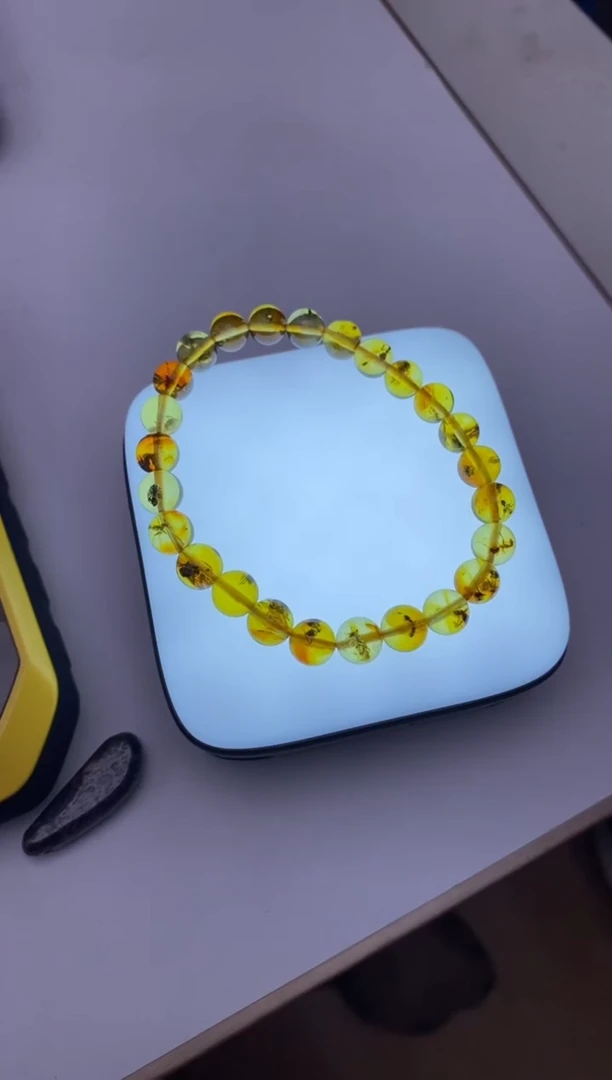 全蚂蚁    666666666666666666666666666666666