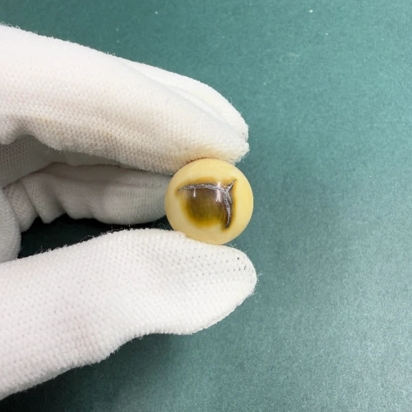 S8279天然猛犸牙蓝眼圆珠16mm 支持鉴定 假一罚四