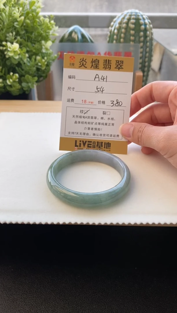 未镶嵌手镯翡翠圈口54.2编码a41